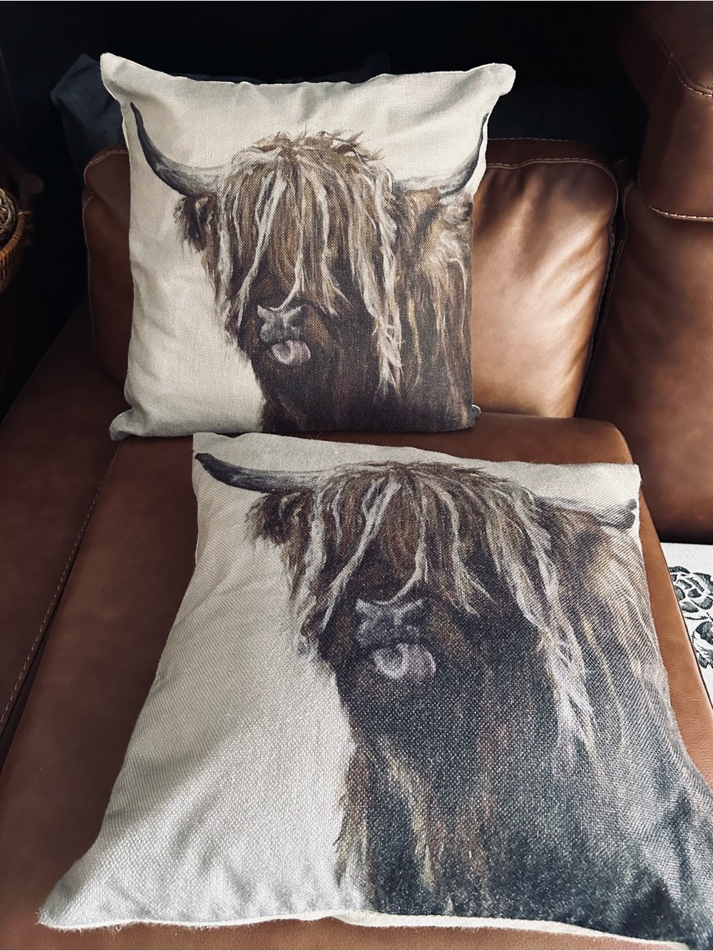 Highland Cow Decorative Throw Pillow - Brown & Cream Rustic Accent